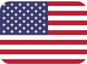 USA-1-300x222